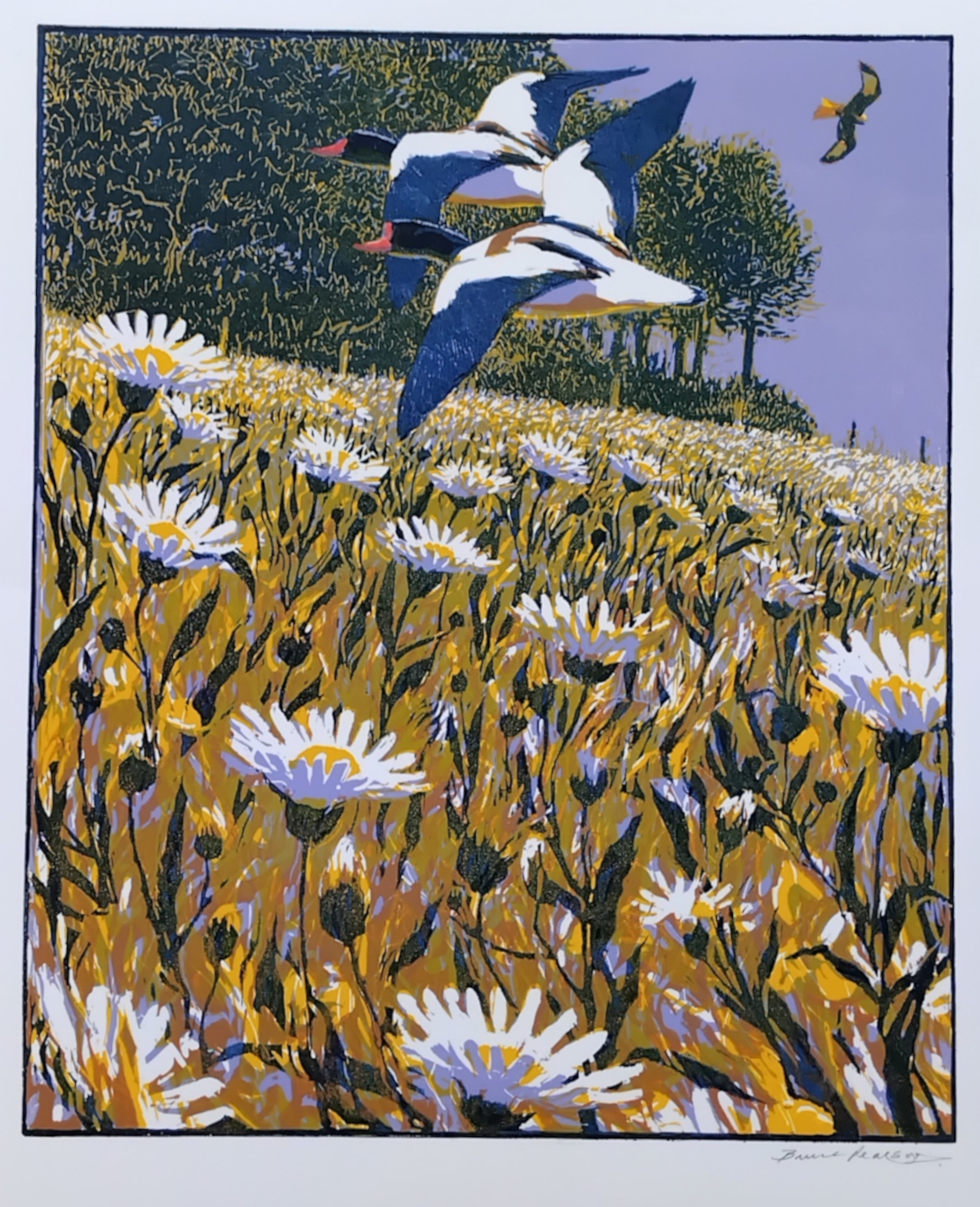 This is my contribution to the exhibition this year.  Its a 5-colour relief print of Oxeye Daisies, Shelduck and Red Kite.